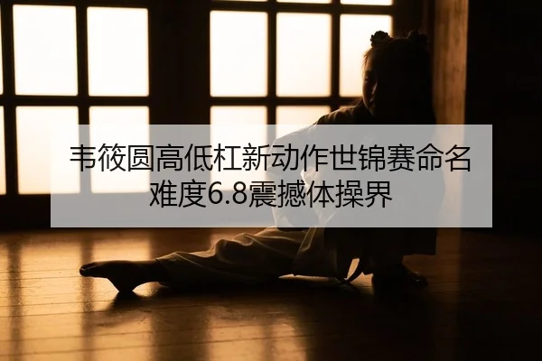 wei-xiao-yuan-gao-di-gang-xin-dong-zuo-shi-jin-sai-ming-ming-nan-du-zhen-han-ti-cao-jie-2-522.jpg